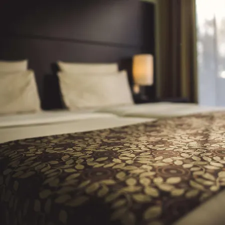 Hotel Central Regensburg Citycentre, Sure Hotel Collection By Best Western-2