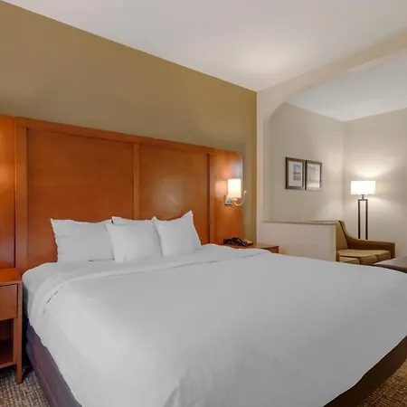 Comfort Suites Columbus State University Area-3
