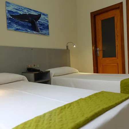 Hotel Andrea'S-2