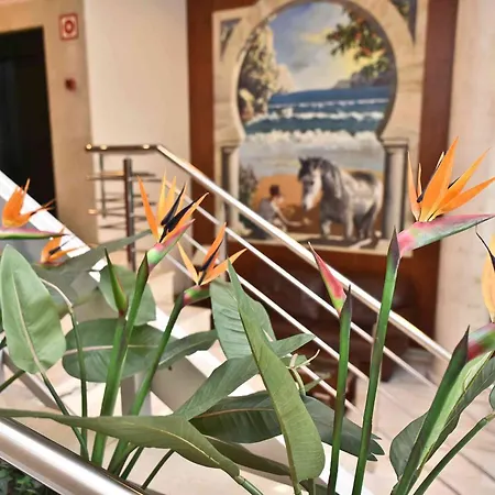 Hotel Adsubia-2
