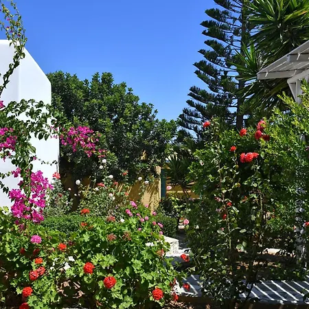 Surfing Beach Village Paros-3