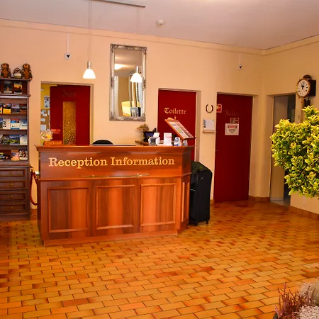 Hotel Roessli-2