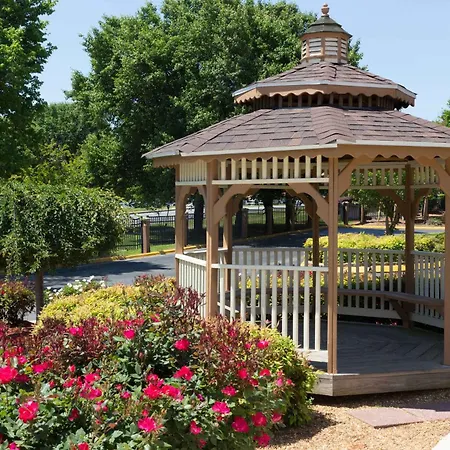Rodeway Inn Charlotte Airport Area-3
