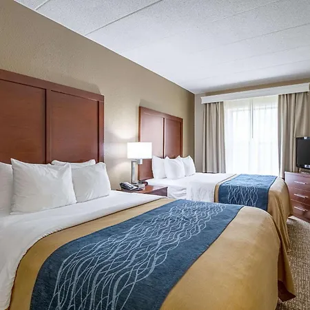 Comfort Inn Indianapolis North - Carmel-2