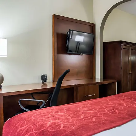 Comfort Suites University - Research Park-3
