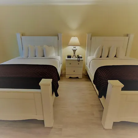 Hollywood Celebrity Hotel-2