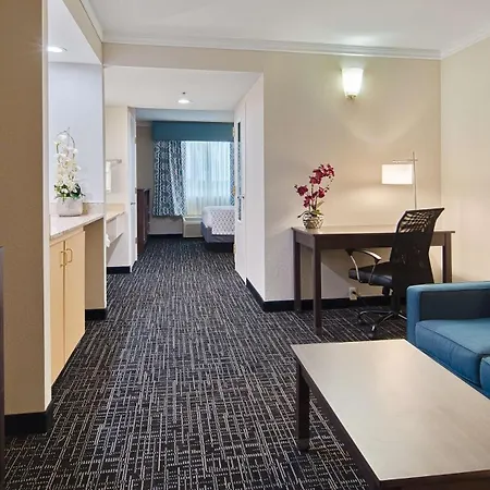 Best Western Fort Myers Inn And Suites-3