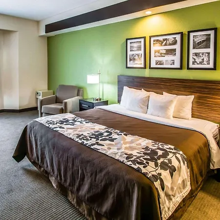 Sleep Inn & Suites Orlando International Airport-2