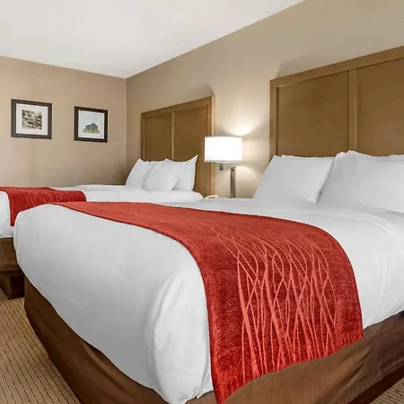 Comfort Inn & Suites Farmington - Victor-2