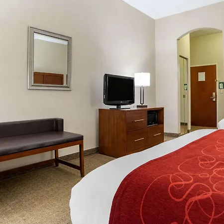 Comfort Suites Jacksonville Airport-2