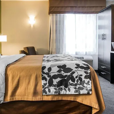 Sleep Inn Midland - Bay City West-3