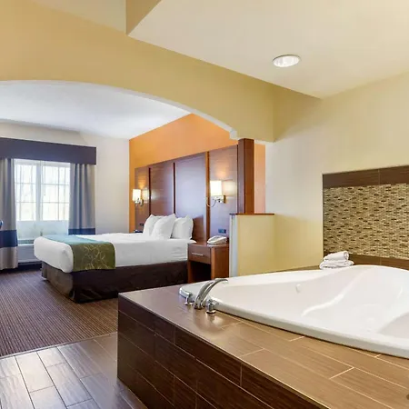 Comfort Suites Stevensville - St Joseph-3