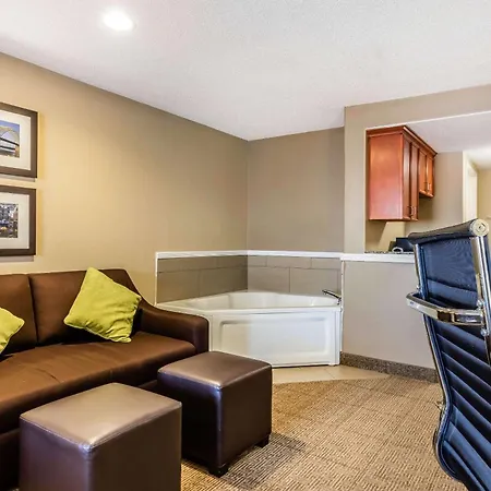 Comfort Inn & Suites Airport-American Way-2