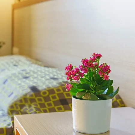 Alianthos Beach Hotel-3