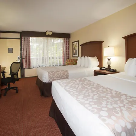 Rosen Inn Lake Buena Vista-3