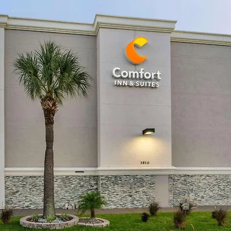 Comfort Inn & Suites St Pete - Clearwater International Airport-3