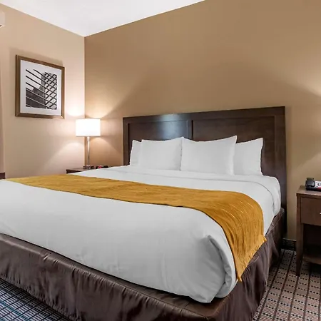 Comfort Inn & Suites Cincinnati Uptown Clifton-2