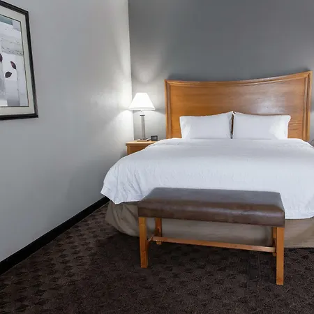 Hampton Inn & Suites Chesapeake-Square Mall-3