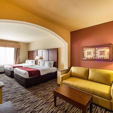Comfort Suites Mcallen Airport And La Plaza Mall-2
