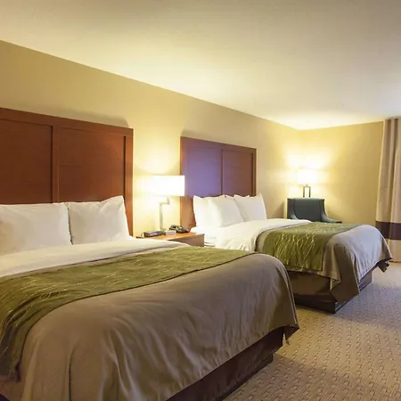 Quality Inn & Suites I-40 East-3