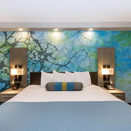 Wingate By Wyndham Goodlettsville-3