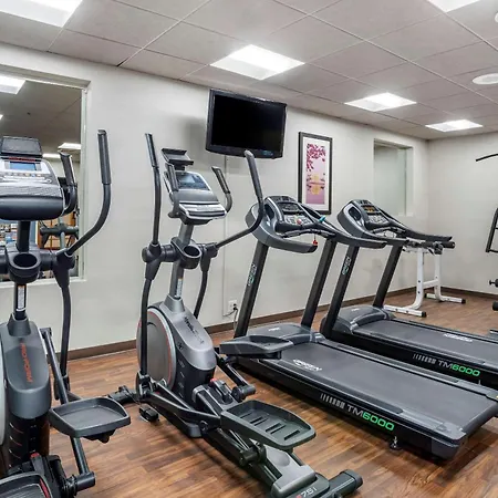 Comfort Inn Shady Grove - Gaithersburg - Rockville-2