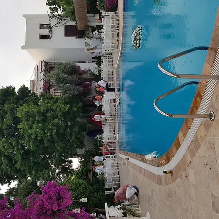 Ece "Vegan"Hotel Bodrum-3