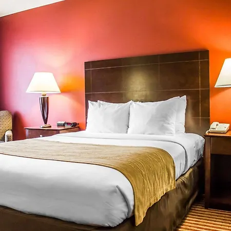 Comfort Inn & Suites-2