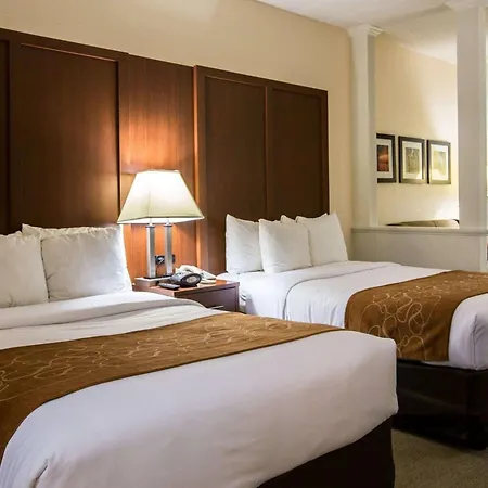 Comfort Suites Cumming-Atlanta Near Northside Hospital Forsyth-2