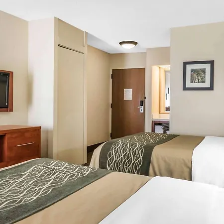 Comfort Inn Pine Grove I-81 Hershey Area-3