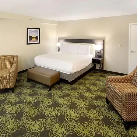 Hilton Garden Inn Reagan National Airport-2