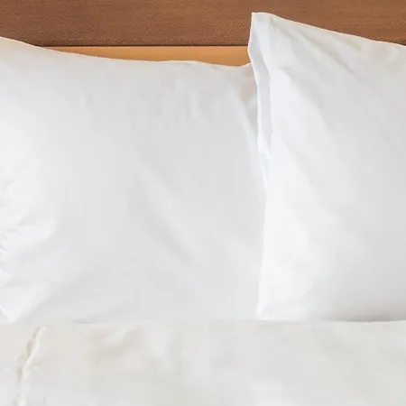 Holiday Inn Express Tampa-Brandon By Ihg-2