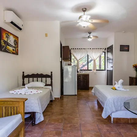 Moonshine Hotel-2