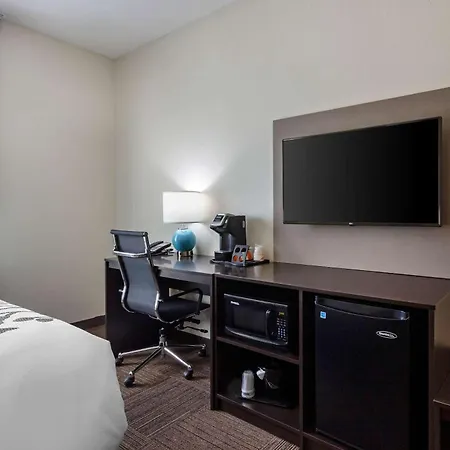 Sleep Inn & Suites Tampa South-2
