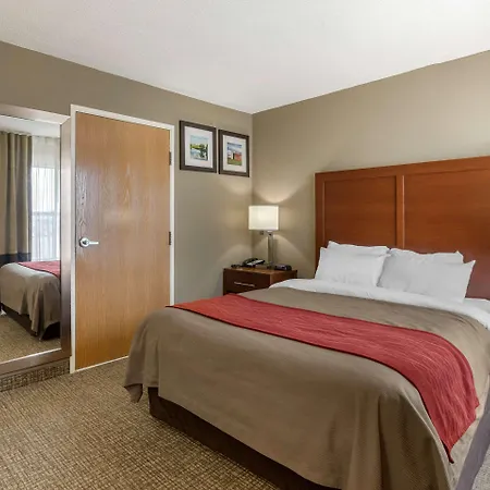 Comfort Inn Walcott Near Davenport-3