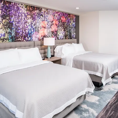 Hotel Indigo Frisco By Ihg-2