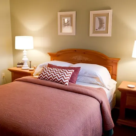 Summers Inn Ludington - Adults Only-2