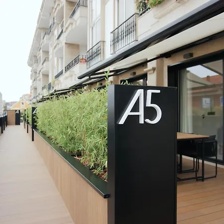 Loft Mardevela-3