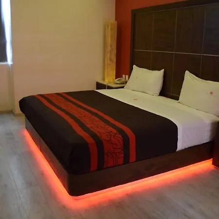 Plutarco Suites-2
