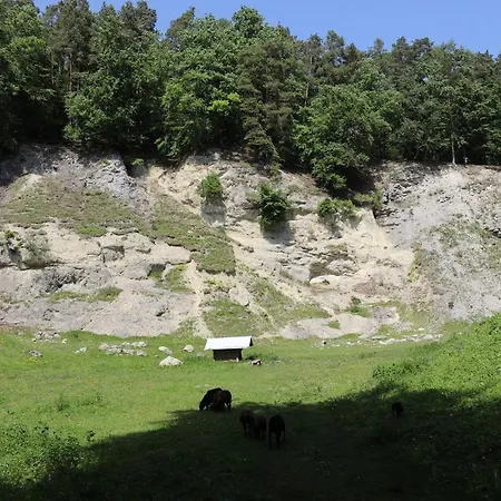 Landgasthof Adler-3