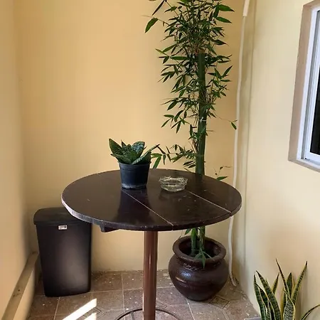 Casa de los abuelos-2