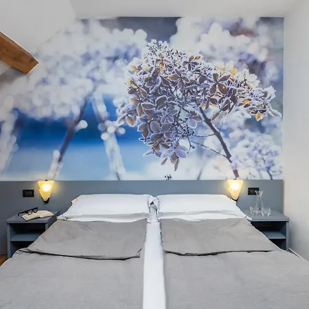 Pippo Hotel-2