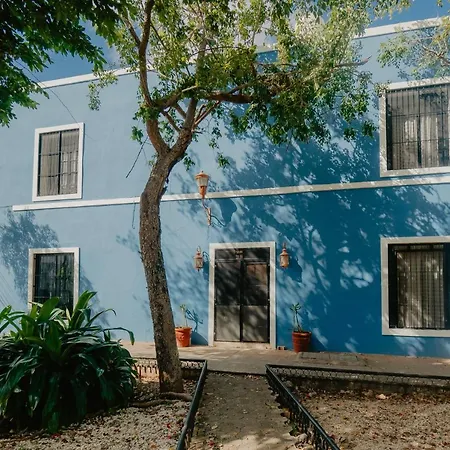 Nido Colibrí - Private Rooms&hostel Dorms in Remate de Paseo Montejo-3