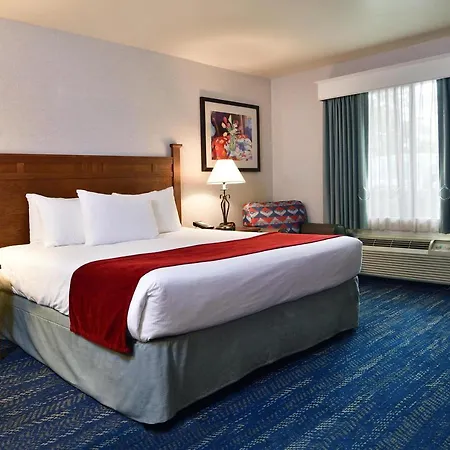 Lamplighter Inn & Suites At Sdsu-2