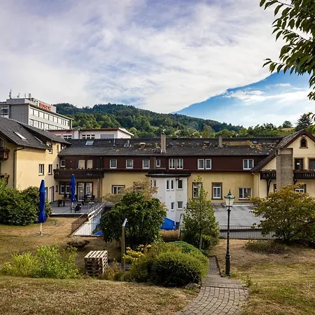 Hotel Grüner Baum-3