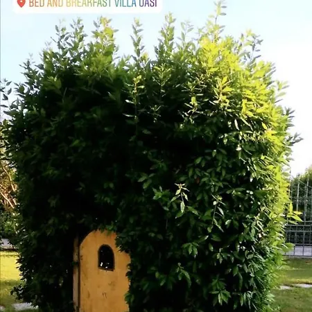 Villa Oasi-3