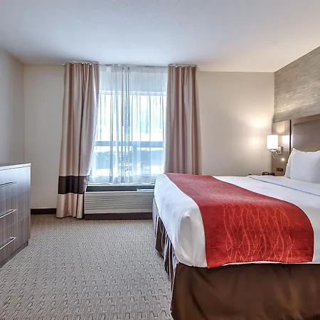 Comfort Inn & Suites South-3