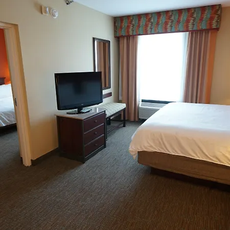 Holiday Inn Express Hotel & Suites Tampa-Oldsmar By Ihg-3