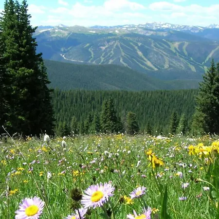 Holiday Inn Express Hotel & Suites Fraser Winter Park Area By Ihg-3