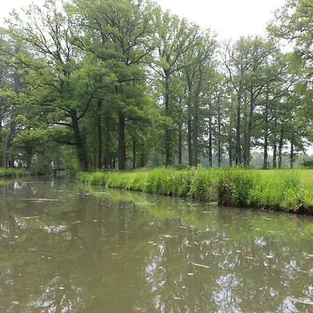 De Bloesem-3